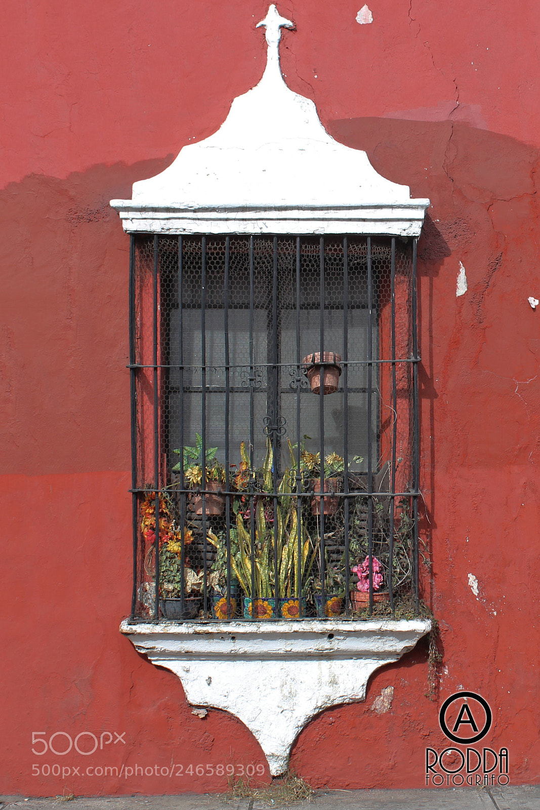 Canon EOS 1200D (EOS Rebel T5 / EOS Kiss X70 / EOS Hi) sample photo. La ventana photography