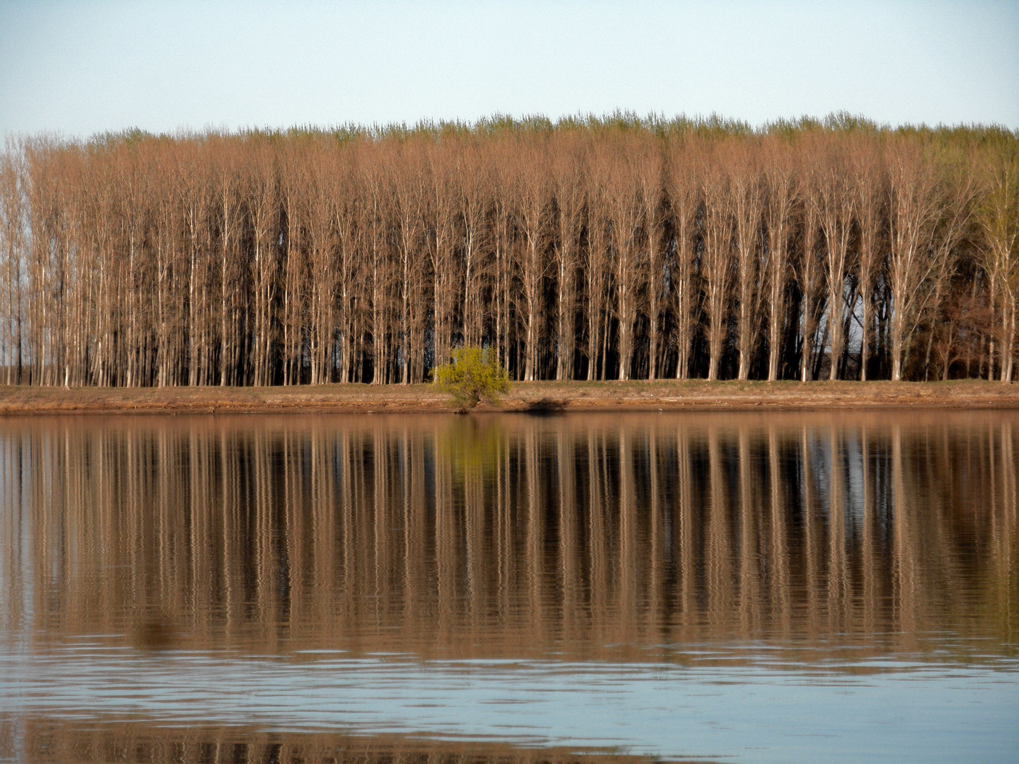 Olympus u7030,S7030 sample photo. Danube,by terri photography