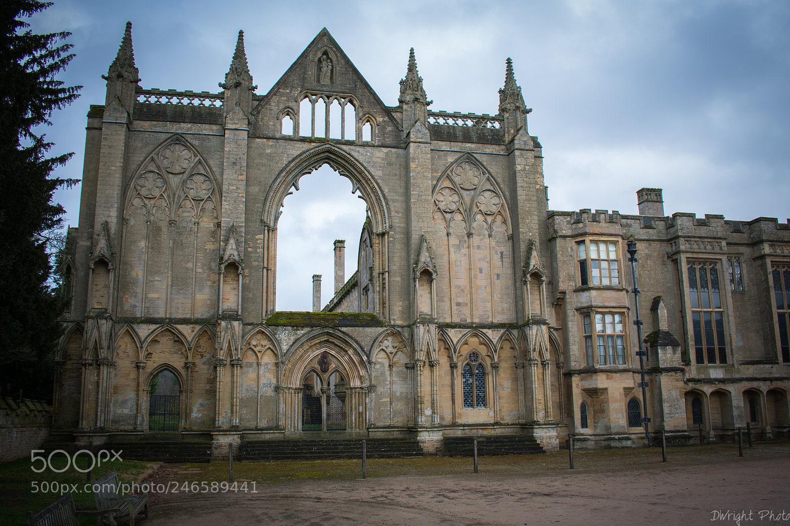 Nikon D3400 sample photo. Newstead abbey photography