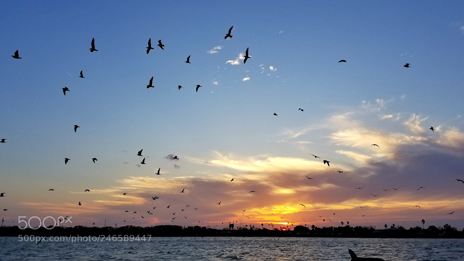 Samsung Galaxy S8+ sample photo. Lake sun-down photography