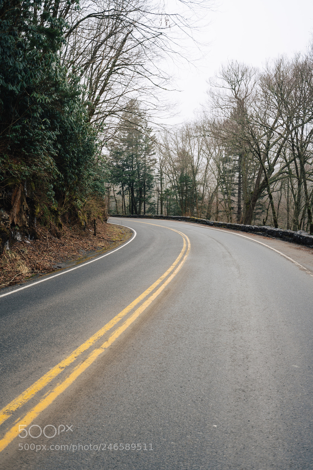 Sony a7R III sample photo. Road less travelled photography