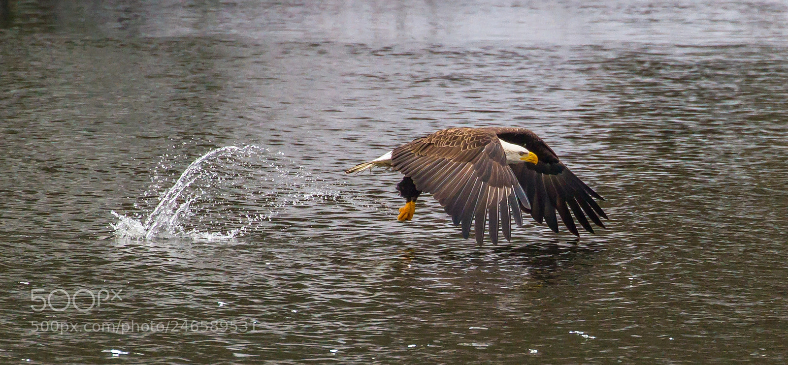 Canon EOS 7D sample photo. Caught one photography
