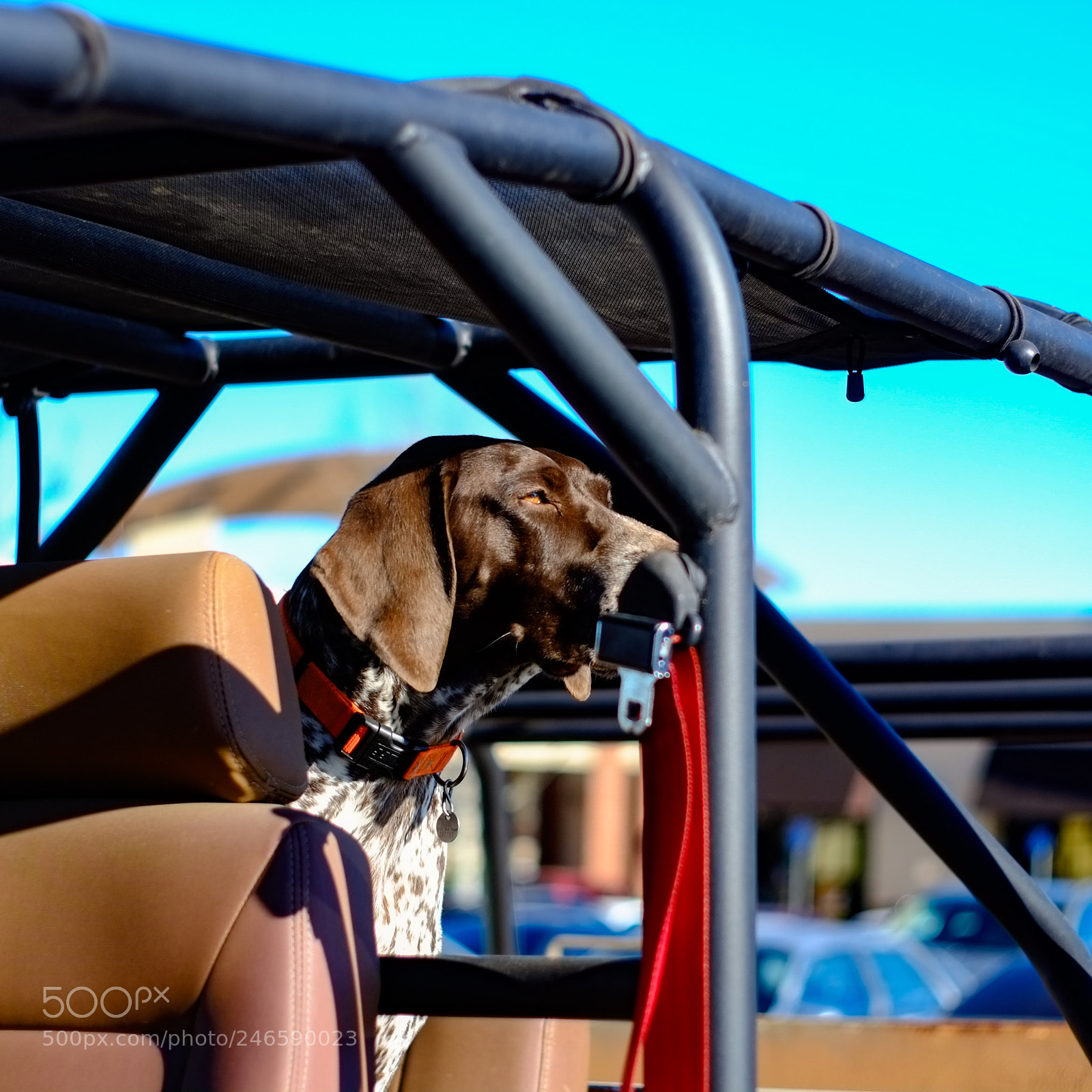 Fujifilm X-Pro1 sample photo. Cars n coffee photography