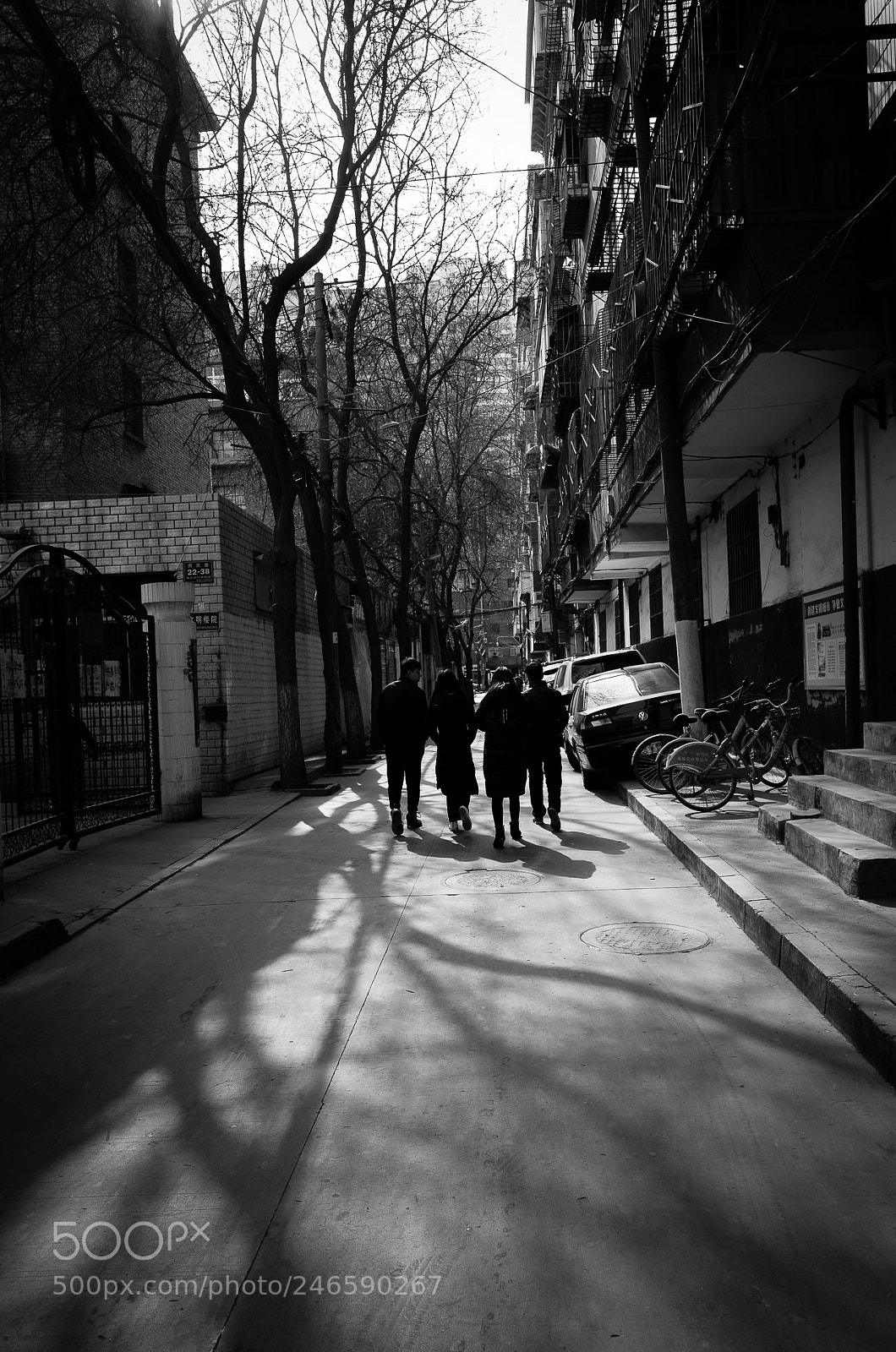 Ricoh GR II sample photo. 《街道》 photography