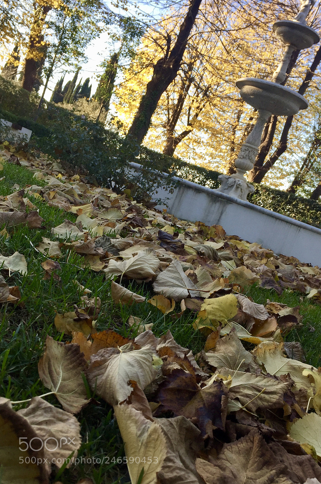 Apple iPhone 6 sample photo. Untitled photography