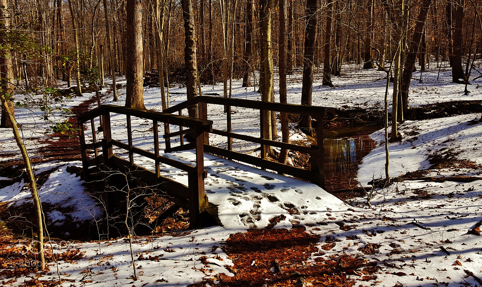 Samsung Galaxy S6 sample photo. Forest trail bridge 2018 photography