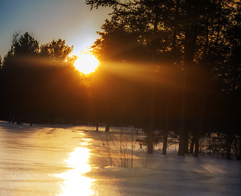 Canon EOS 50D sample photo. Winter landscape photography