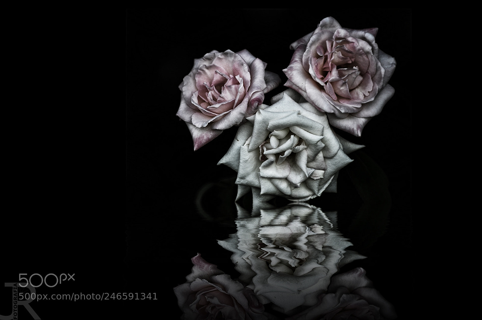 Nikon D300S sample photo. Reflejos... photography