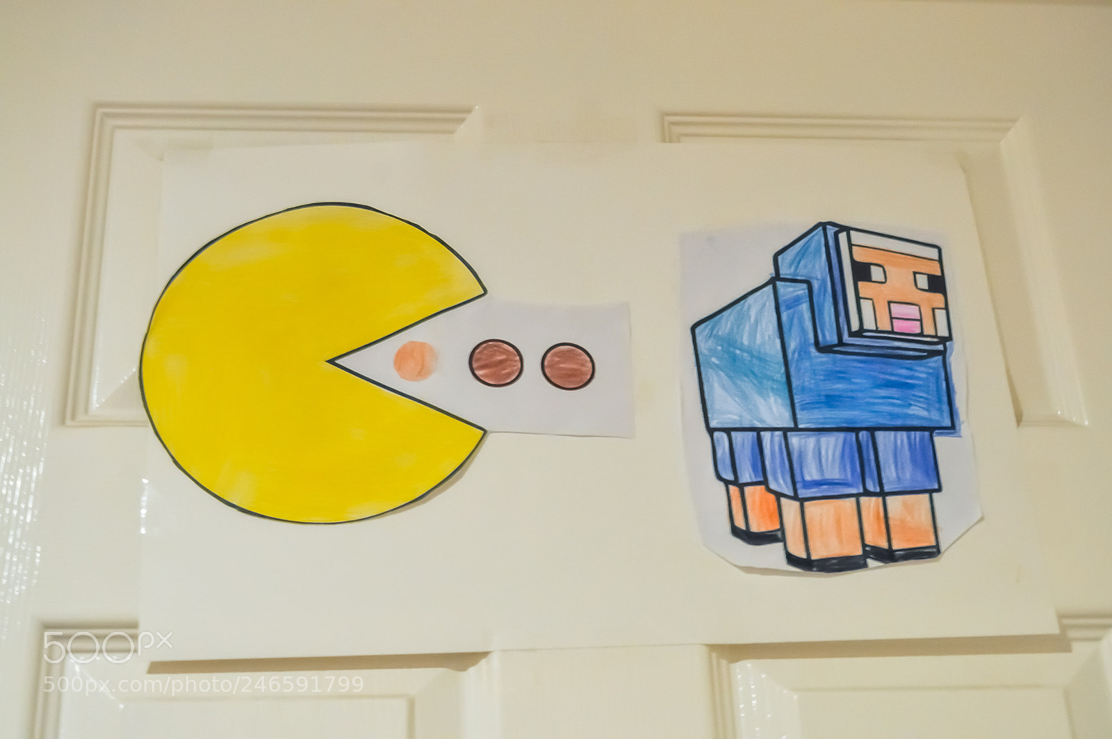 Nikon D5000 sample photo. Pacman and sheep trying photography