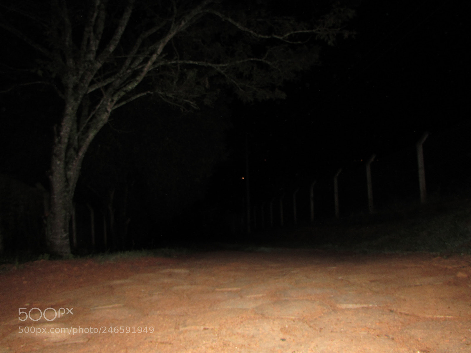 Canon PowerShot SX510 HS sample photo. A luz esta naescurid photography