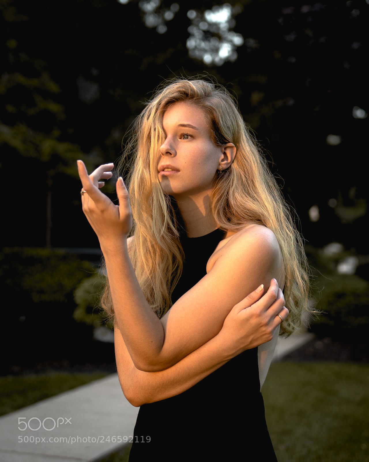 Nikon D810 sample photo. Light and shadow photography