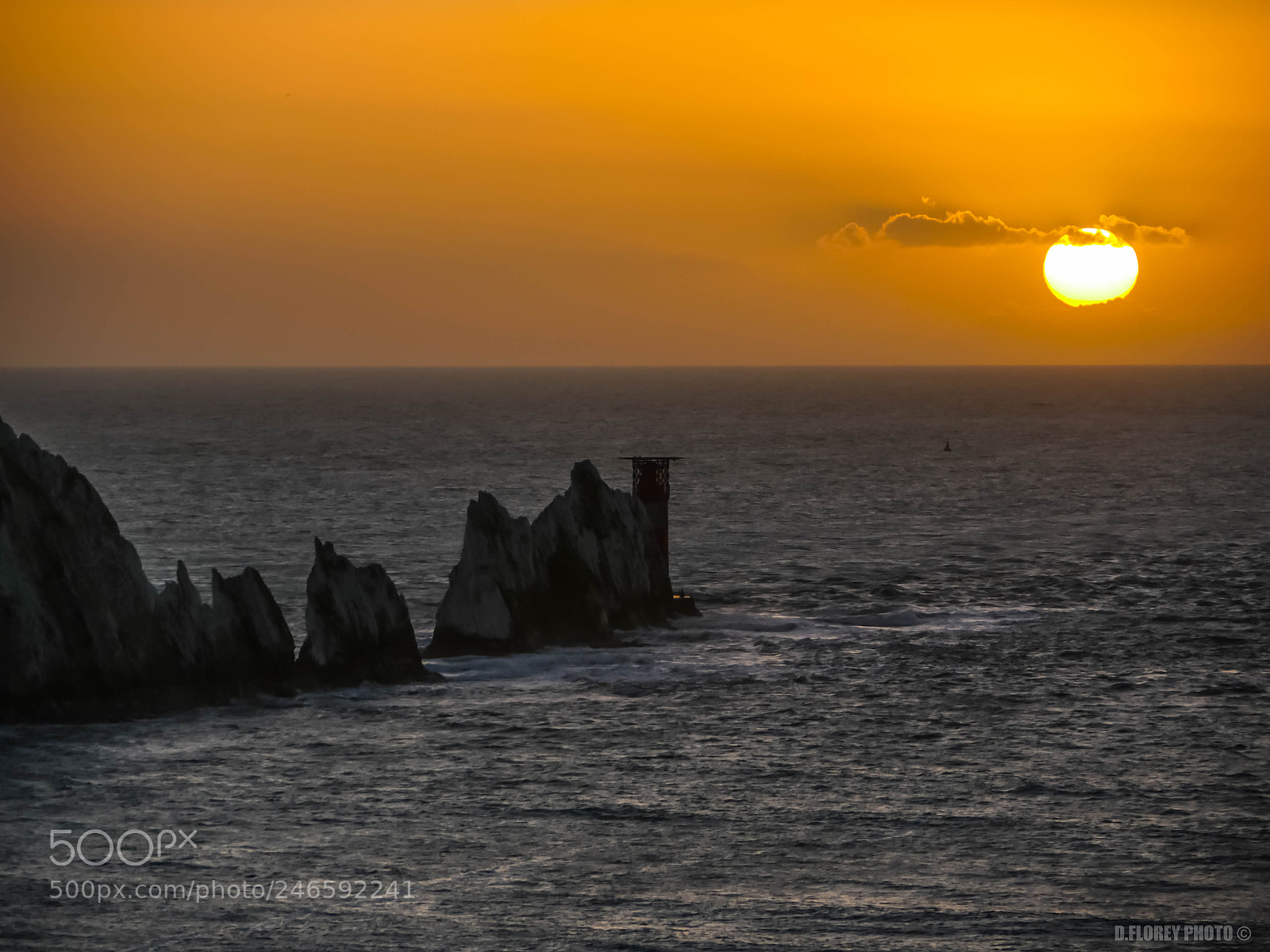 Panasonic Lumix DMC-GX8 sample photo. The needles photography
