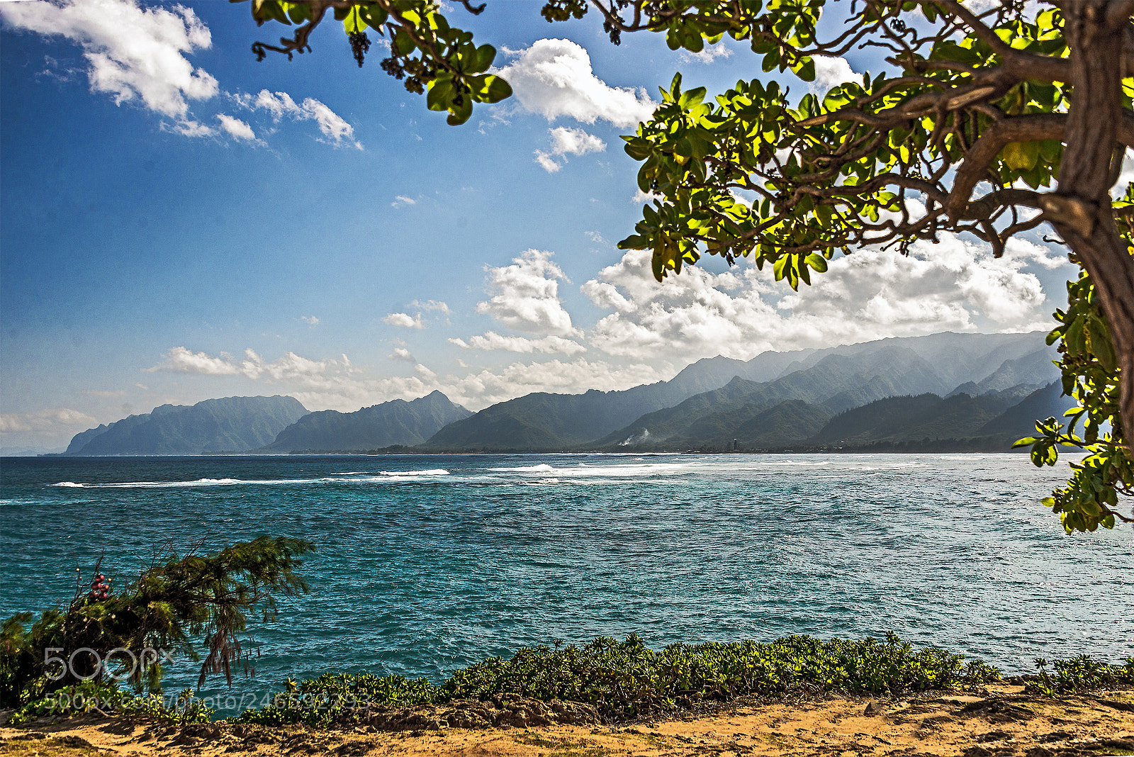 Nikon D610 sample photo. Oahu the "other side" photography