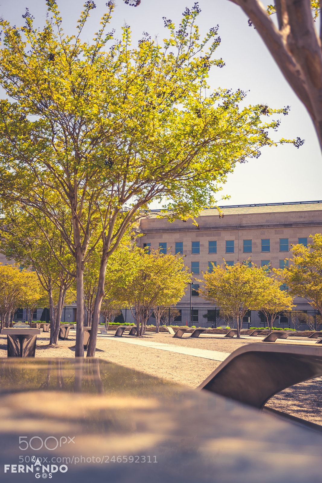 Nikon D7200 sample photo. National 9/11 pentagon memorial photography