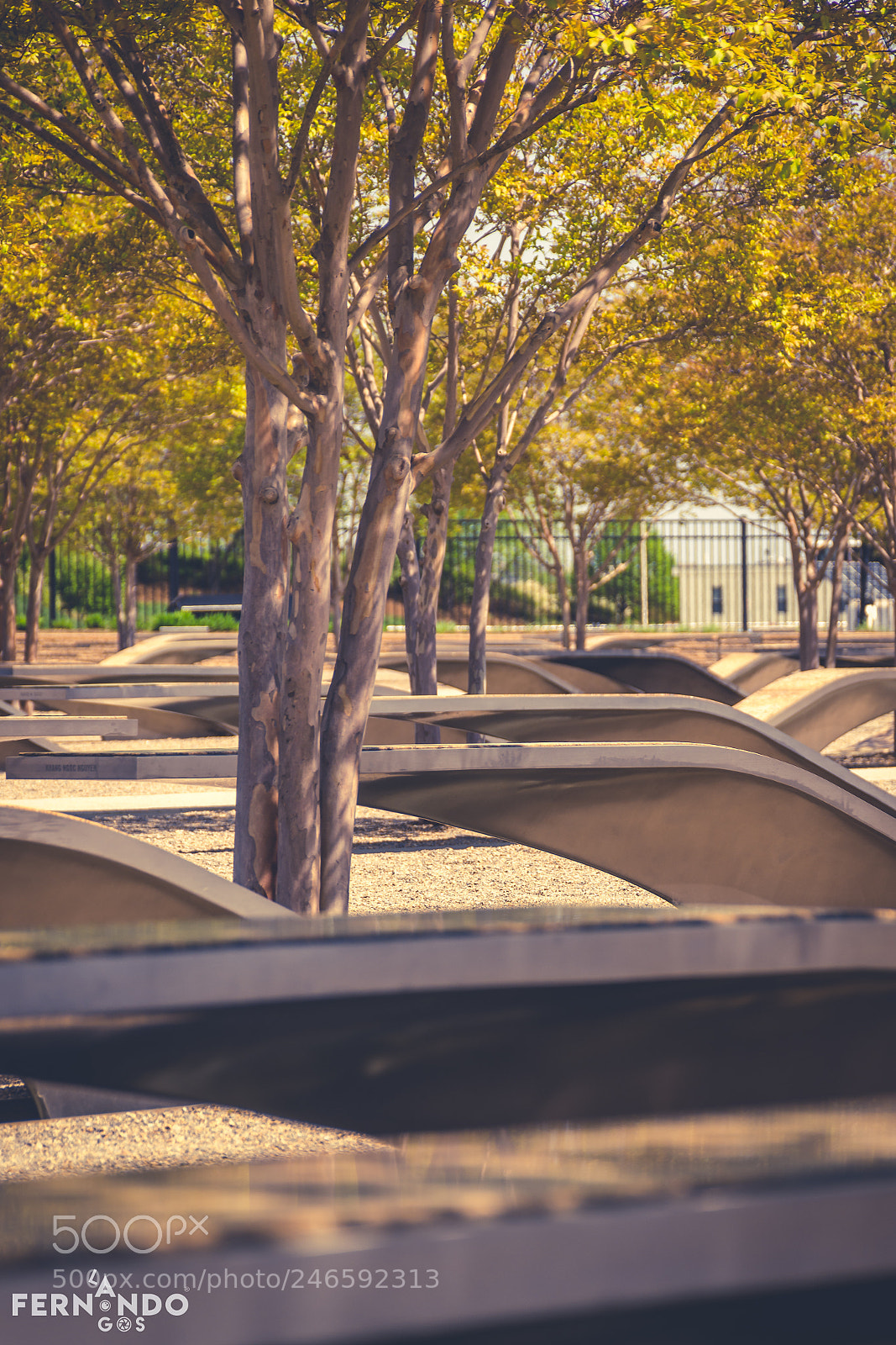 Nikon D7200 sample photo. National 9/11 pentagon memorial photography