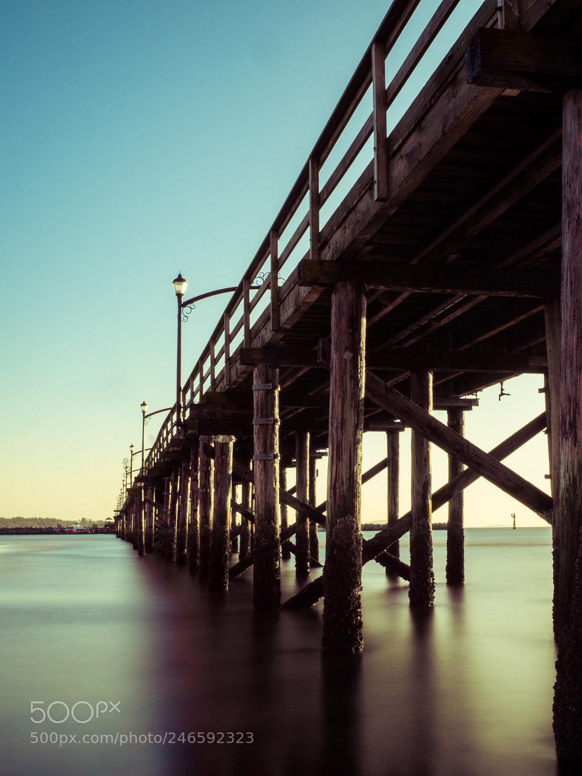 Panasonic Lumix DC-GH5 sample photo. The pier in white photography