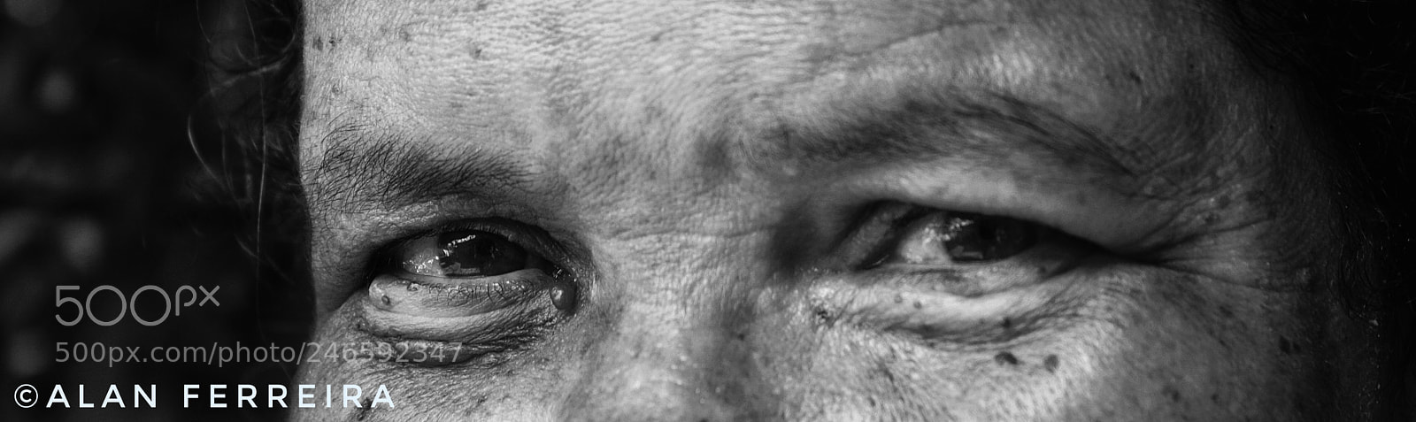 Canon EOS 1000D (EOS Digital Rebel XS / EOS Kiss F) sample photo. Olhos photography