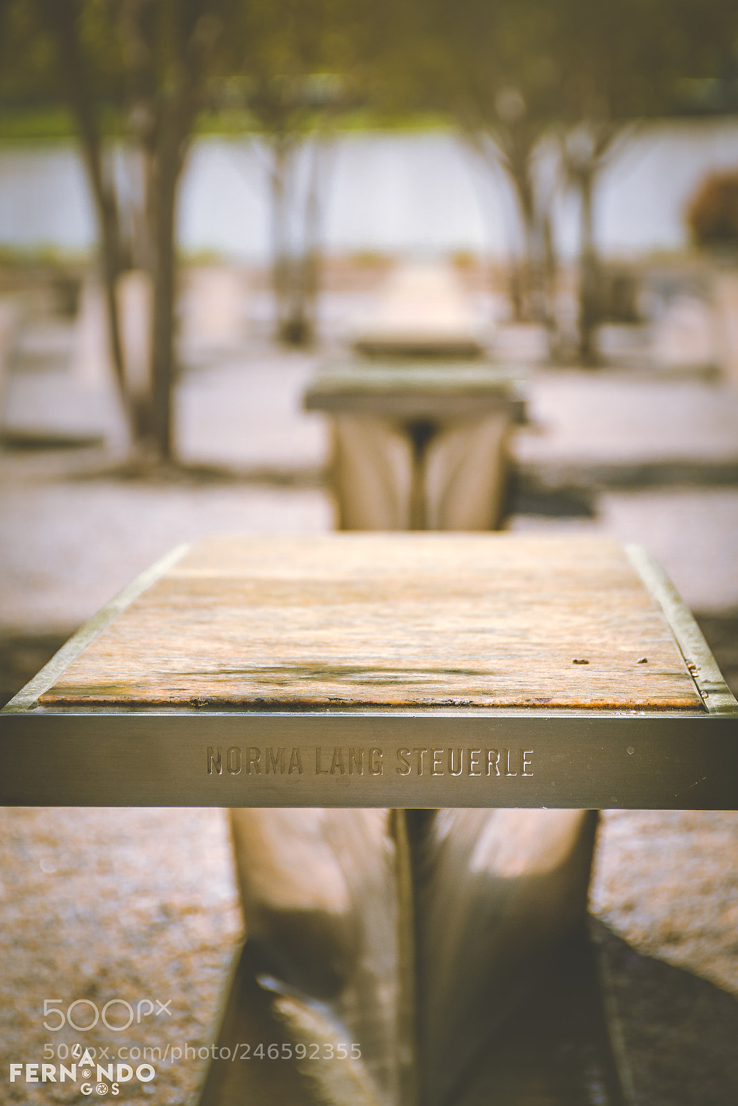 Nikon D7200 sample photo. National 9/11 pentagon memorial photography