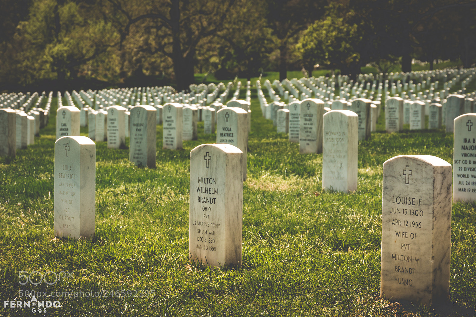 Nikon D7200 sample photo. Arlington national cemetery photography