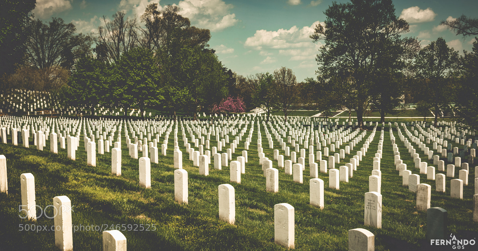 Nikon D7200 sample photo. Arlington national cemetery photography