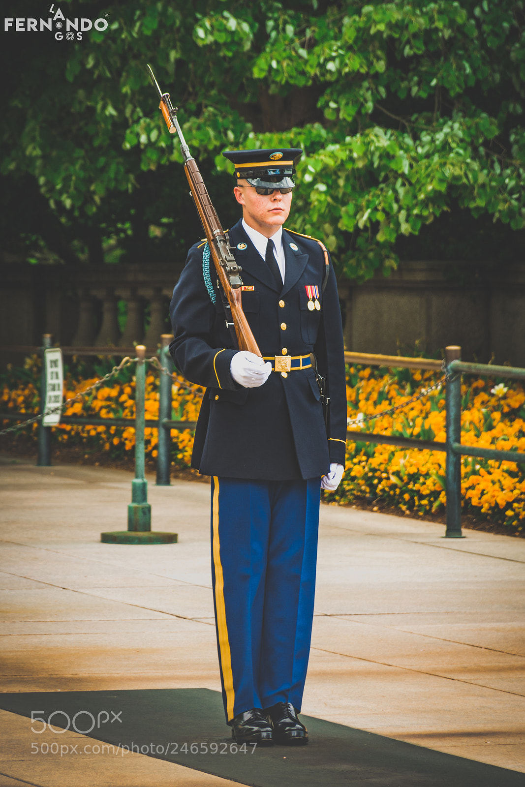 Nikon D7200 sample photo. Guard at the tomb photography