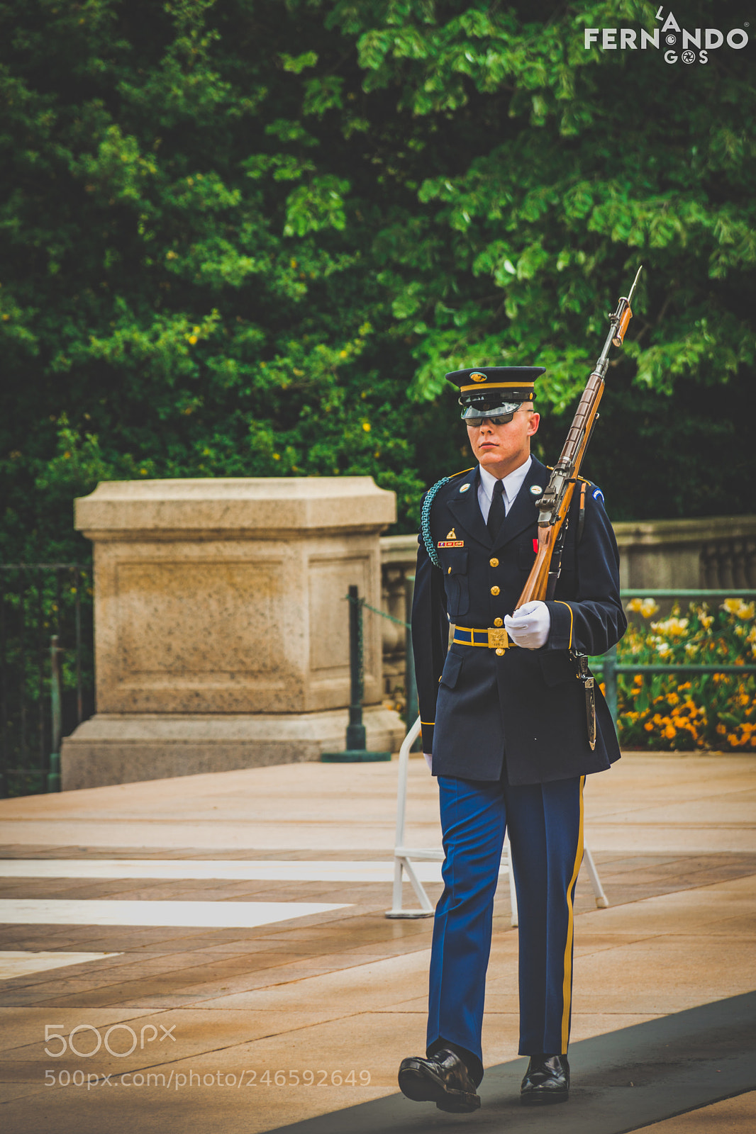 Nikon D7200 sample photo. Guard at the tomb photography