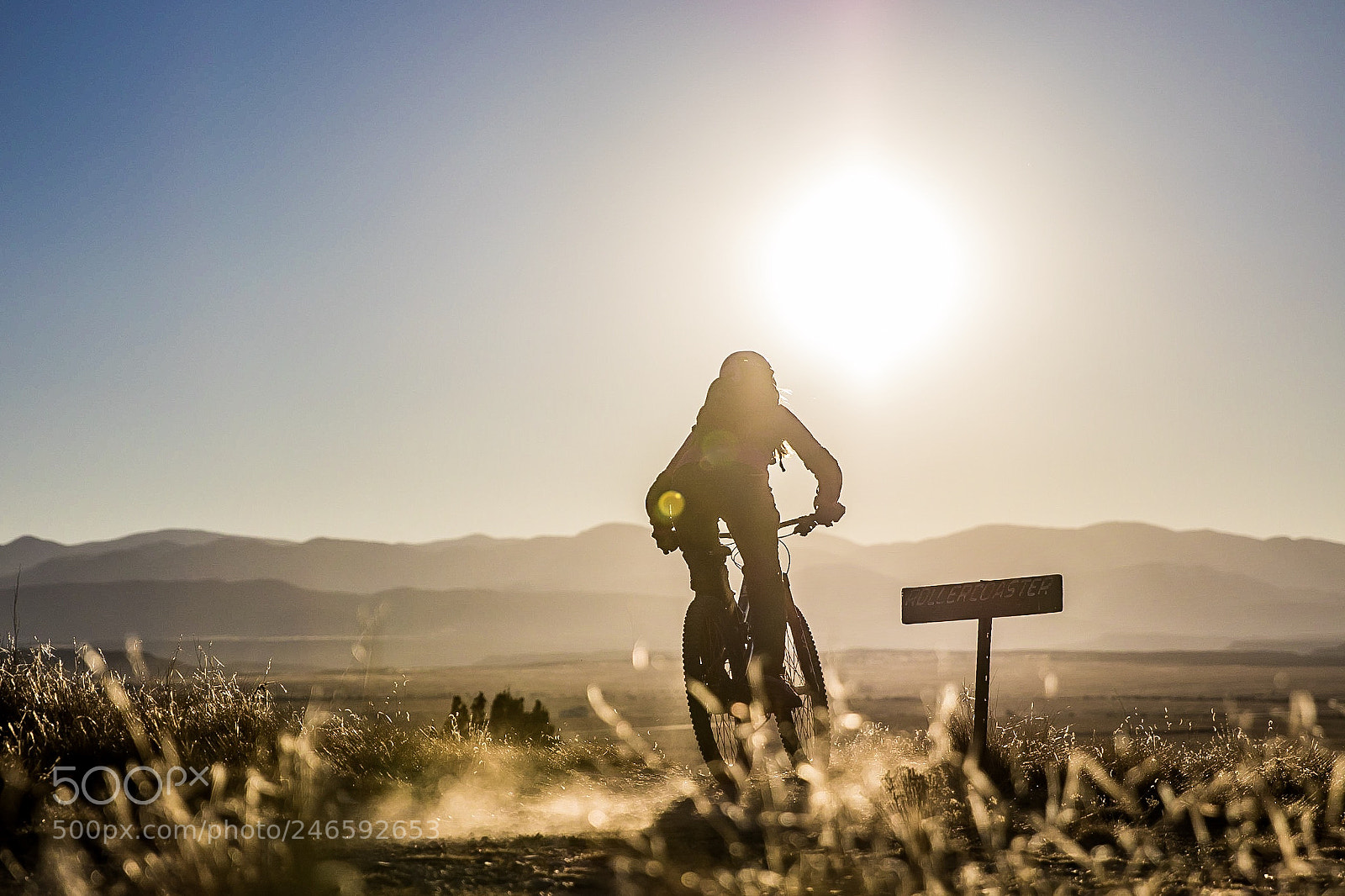 Canon EOS 7D Mark II sample photo. Vitamin d photography