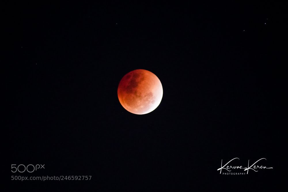 Sony a99 II sample photo. Red dot  !! photography