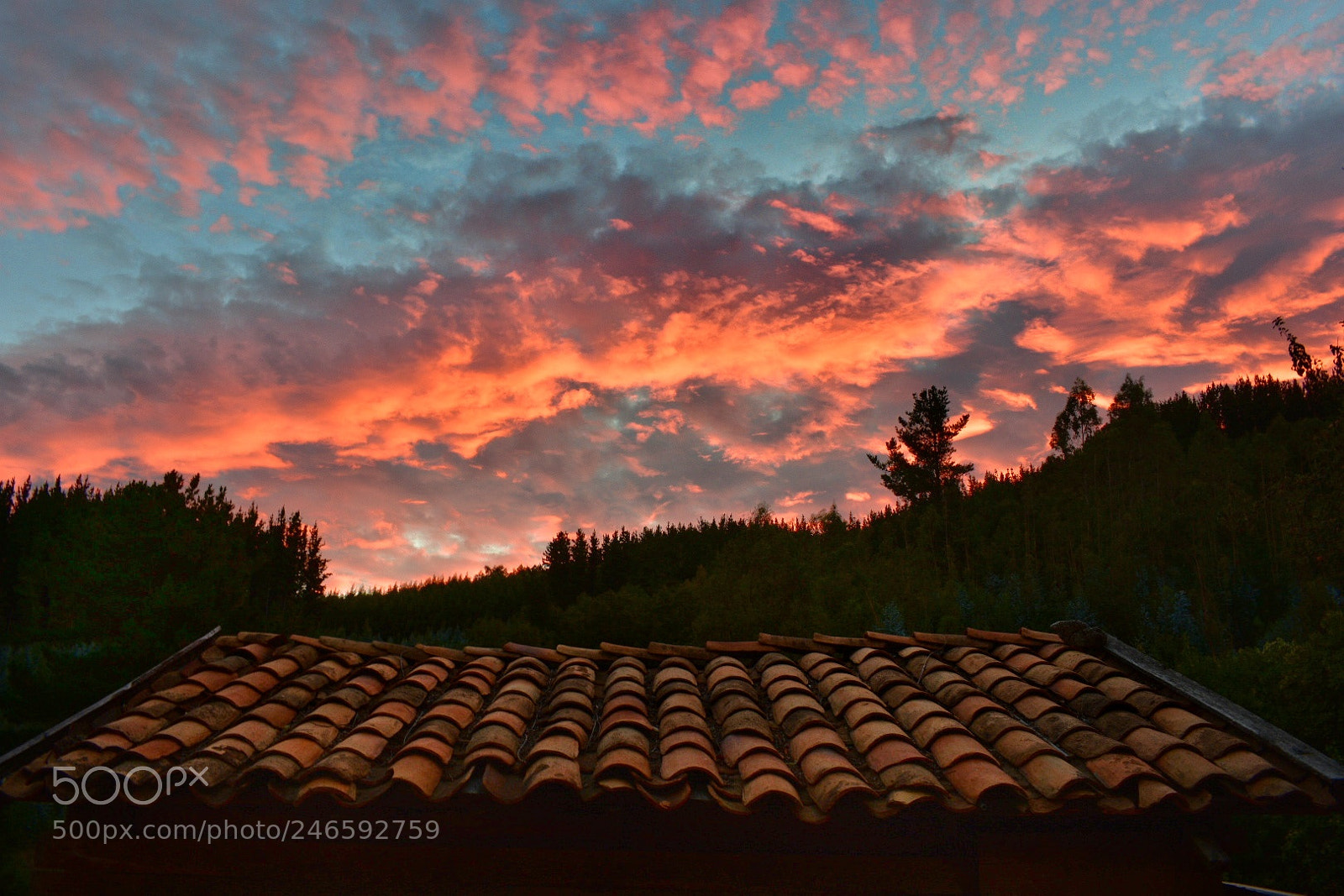 Nikon D3400 sample photo. Red clouds photography