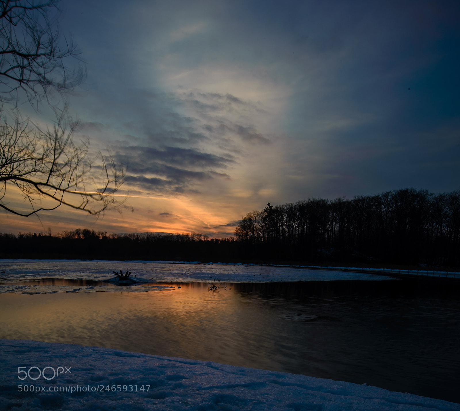 Nikon D610 sample photo. Untitled photography