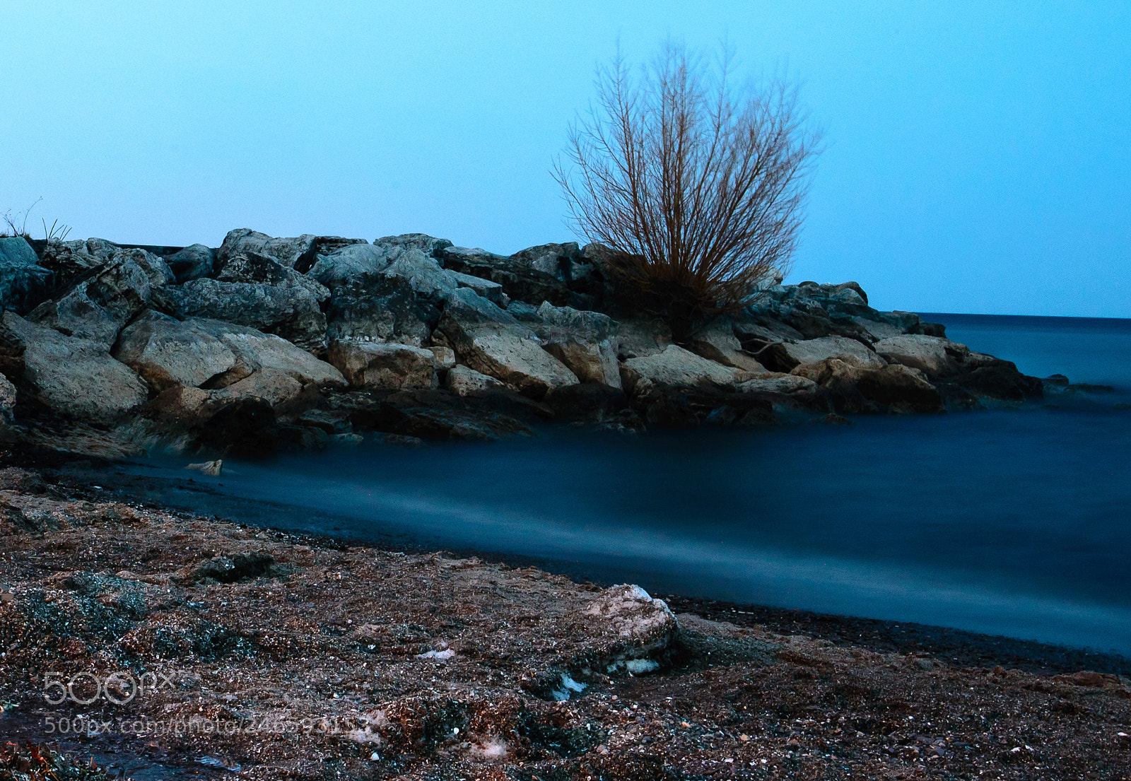 Nikon D610 sample photo. Untitled photography