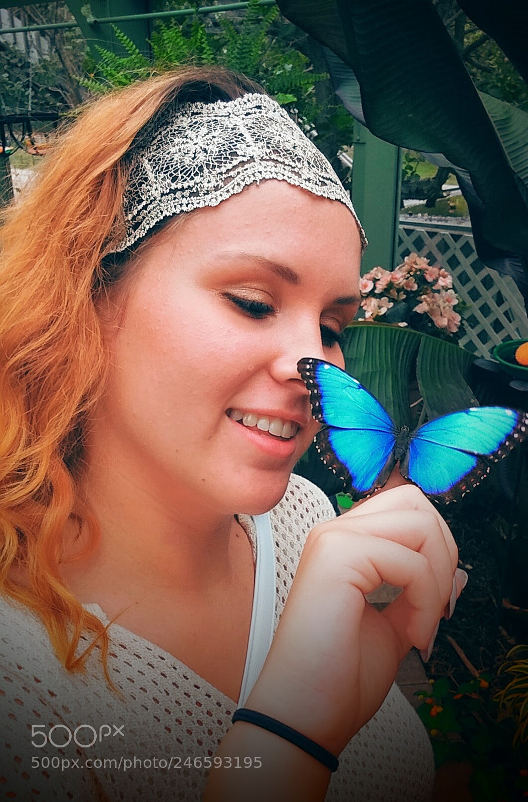 LG G2 sample photo. Butterfly house photography