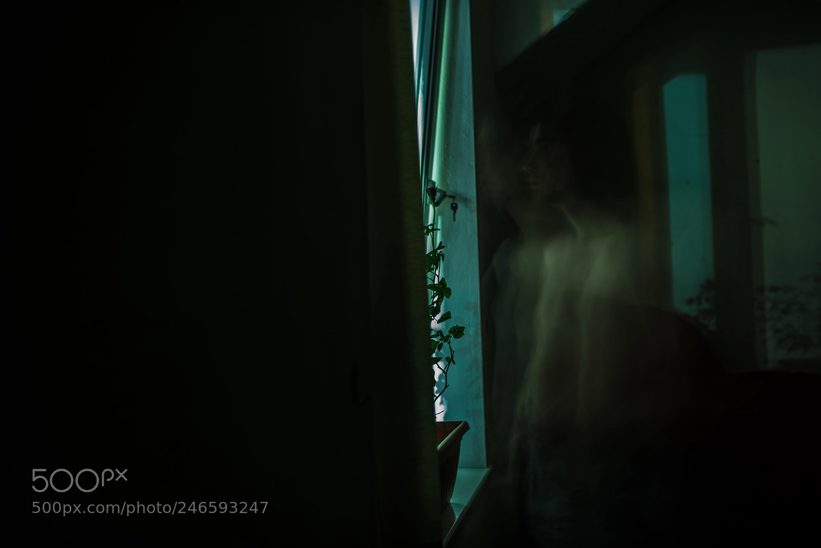 Nikon D800 sample photo. Routine photography
