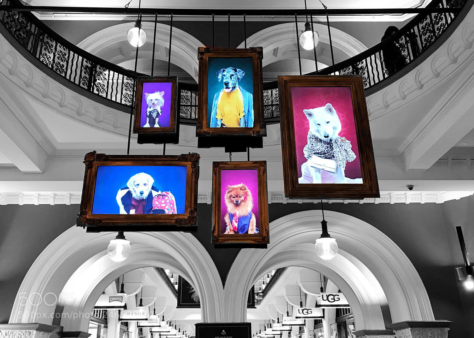 Apple iPhone 7 Plus sample photo. Qvb photography