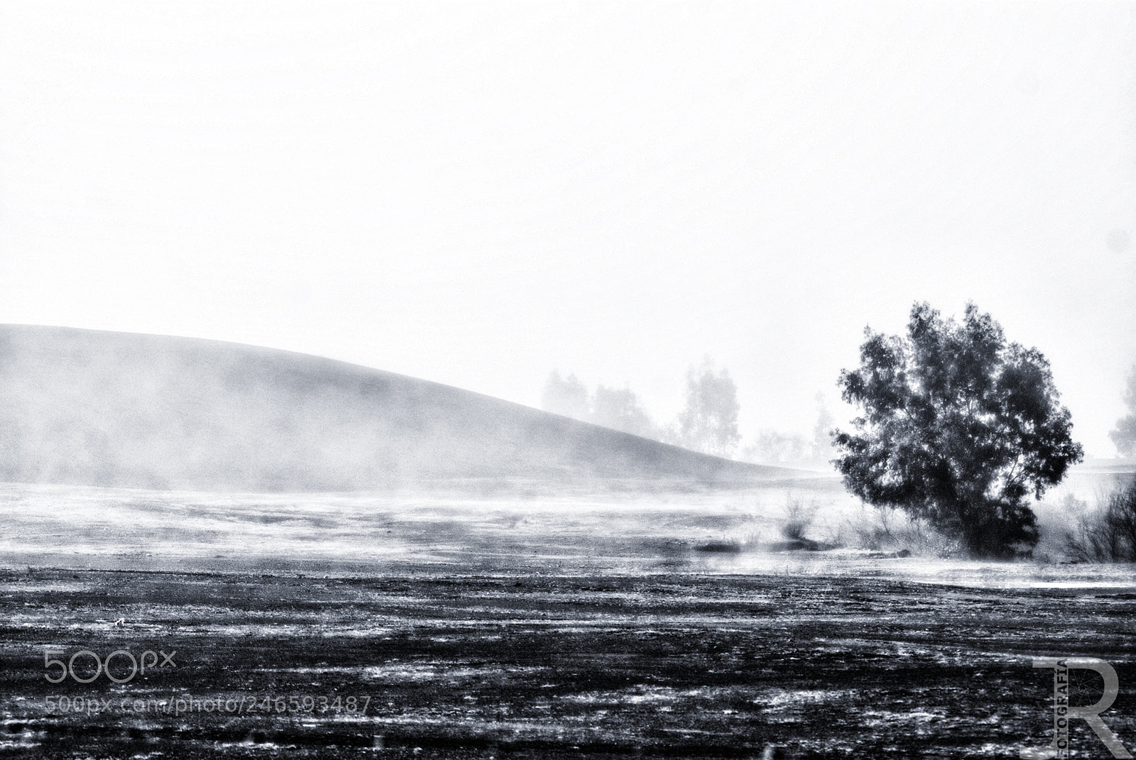 Nikon D80 sample photo. El p ramo y photography