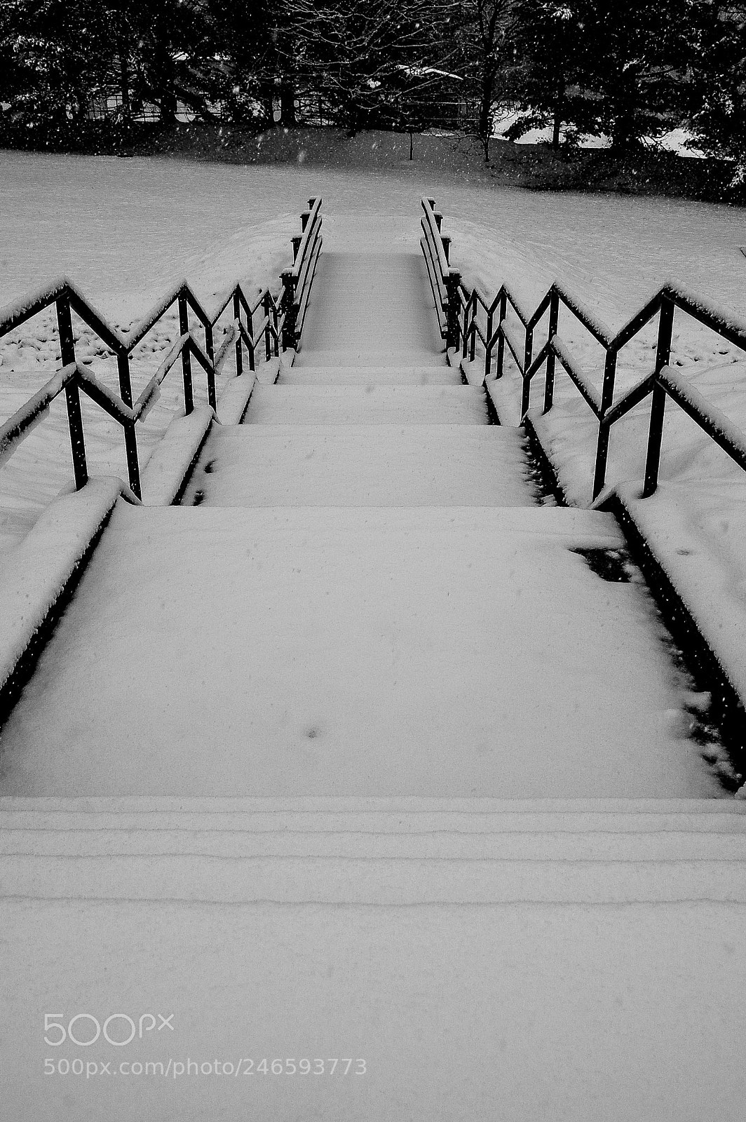 Nikon D50 sample photo. Rest stop 2 photography