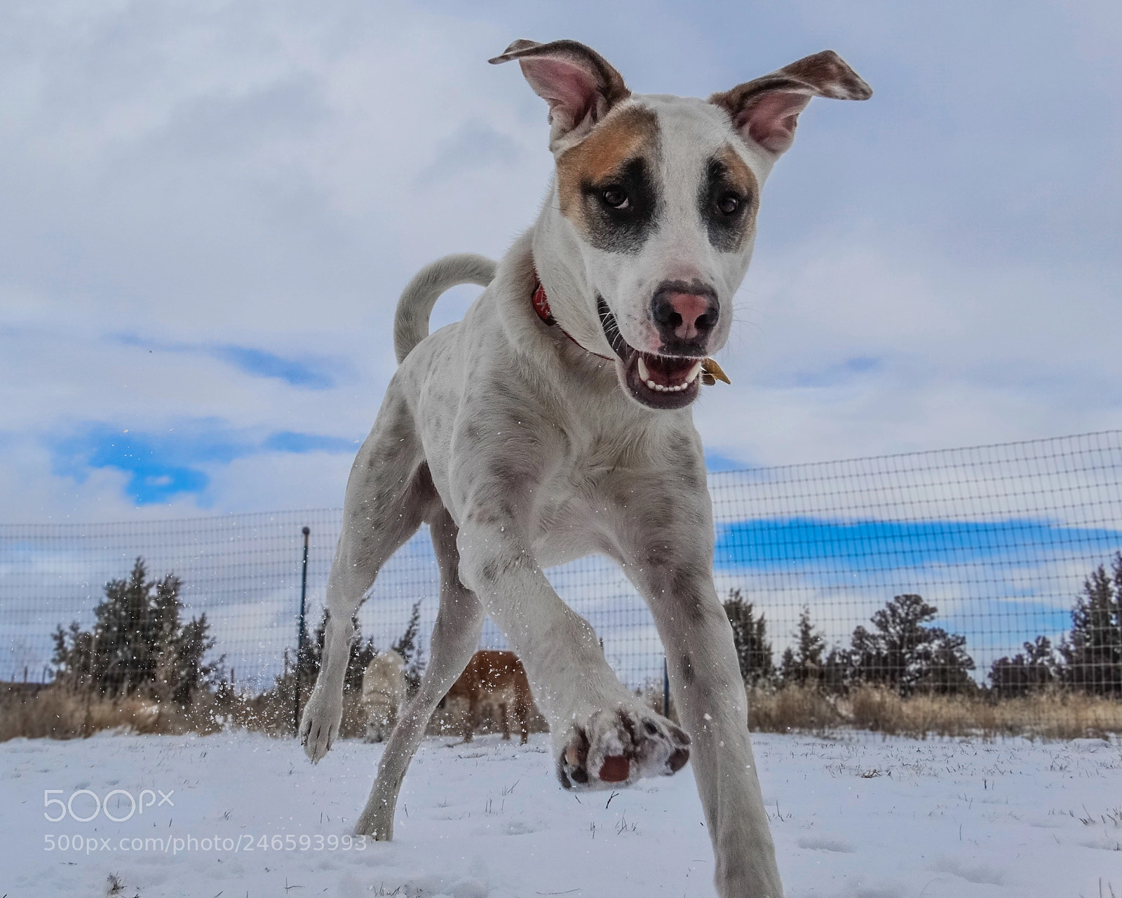 Sony Cyber-shot DSC-HX300 sample photo. Rocky photography