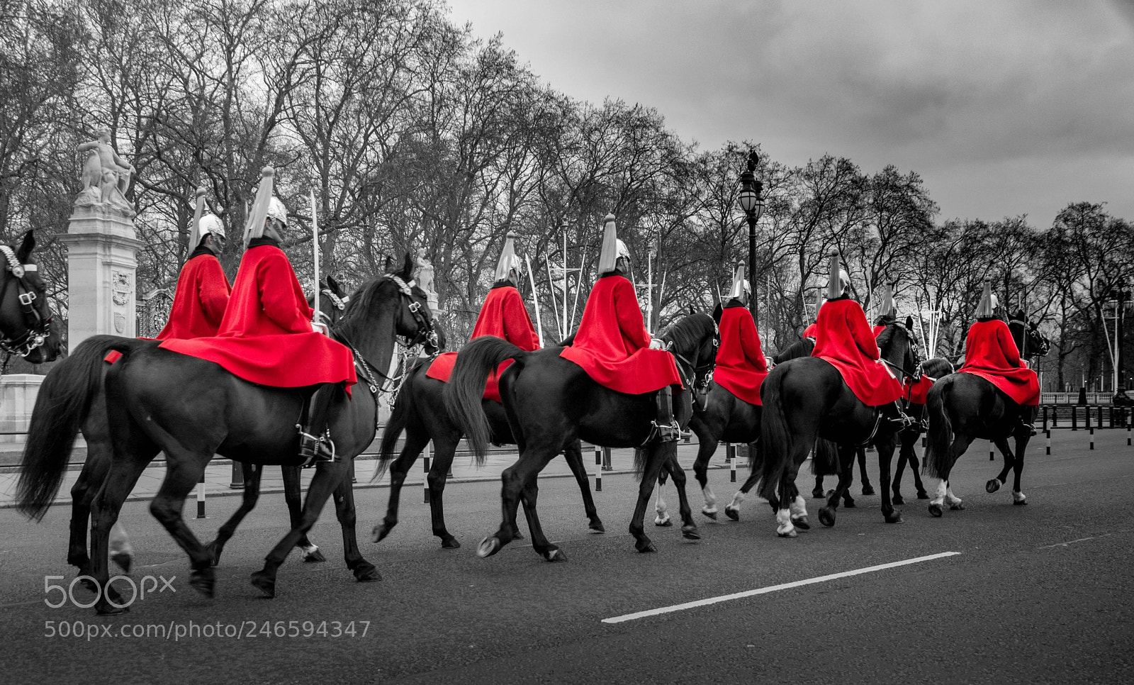 Nikon D5200 sample photo. A splash of red photography