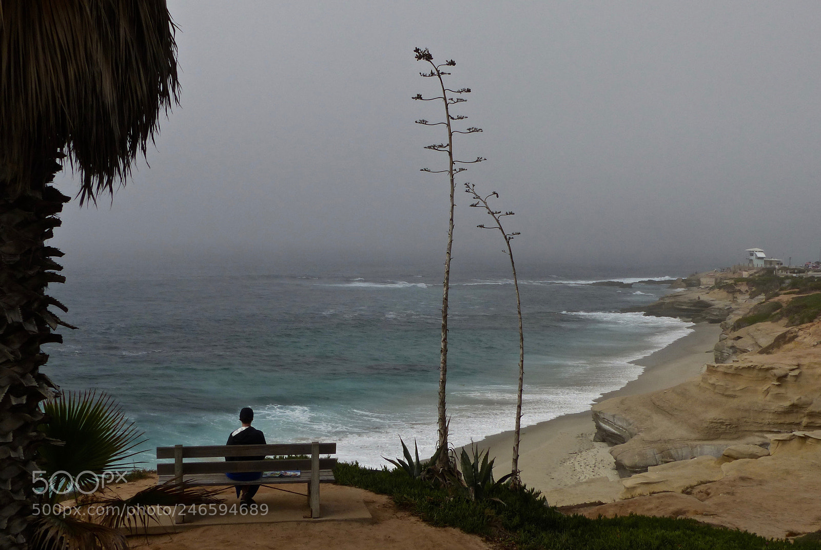 Panasonic Lumix DMC-FZ200 sample photo. A foggy view photography