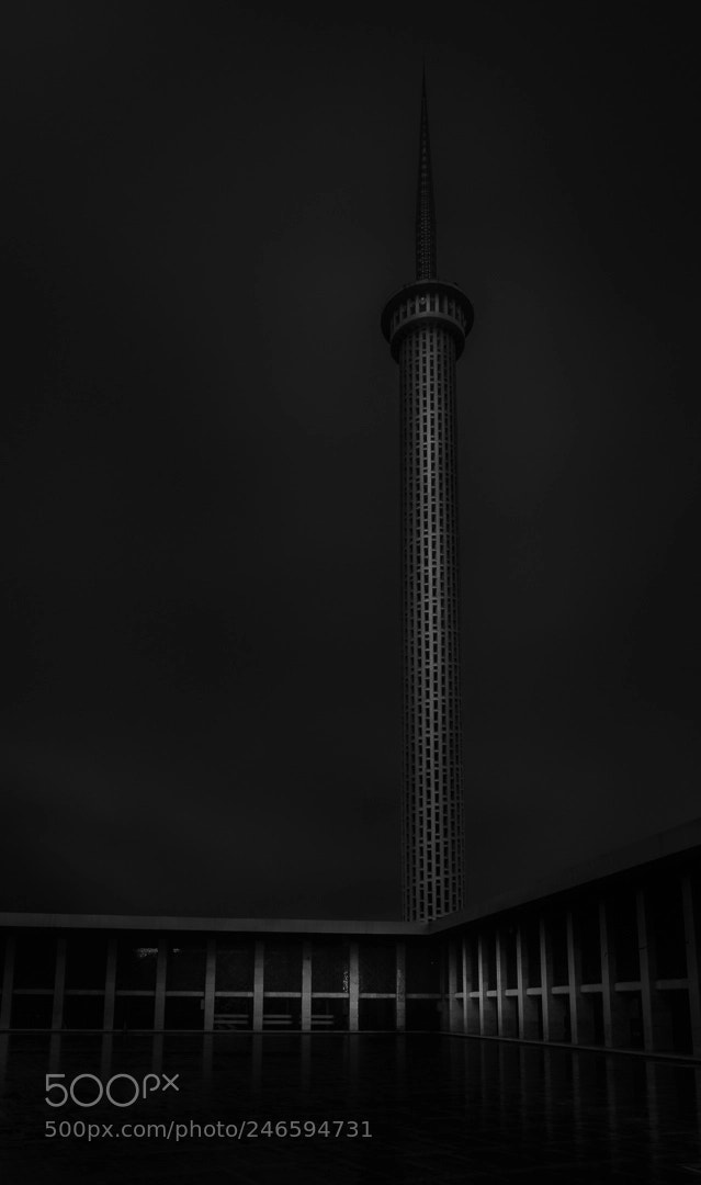 Sony SLT-A58 sample photo. Istiqlal mosque photography
