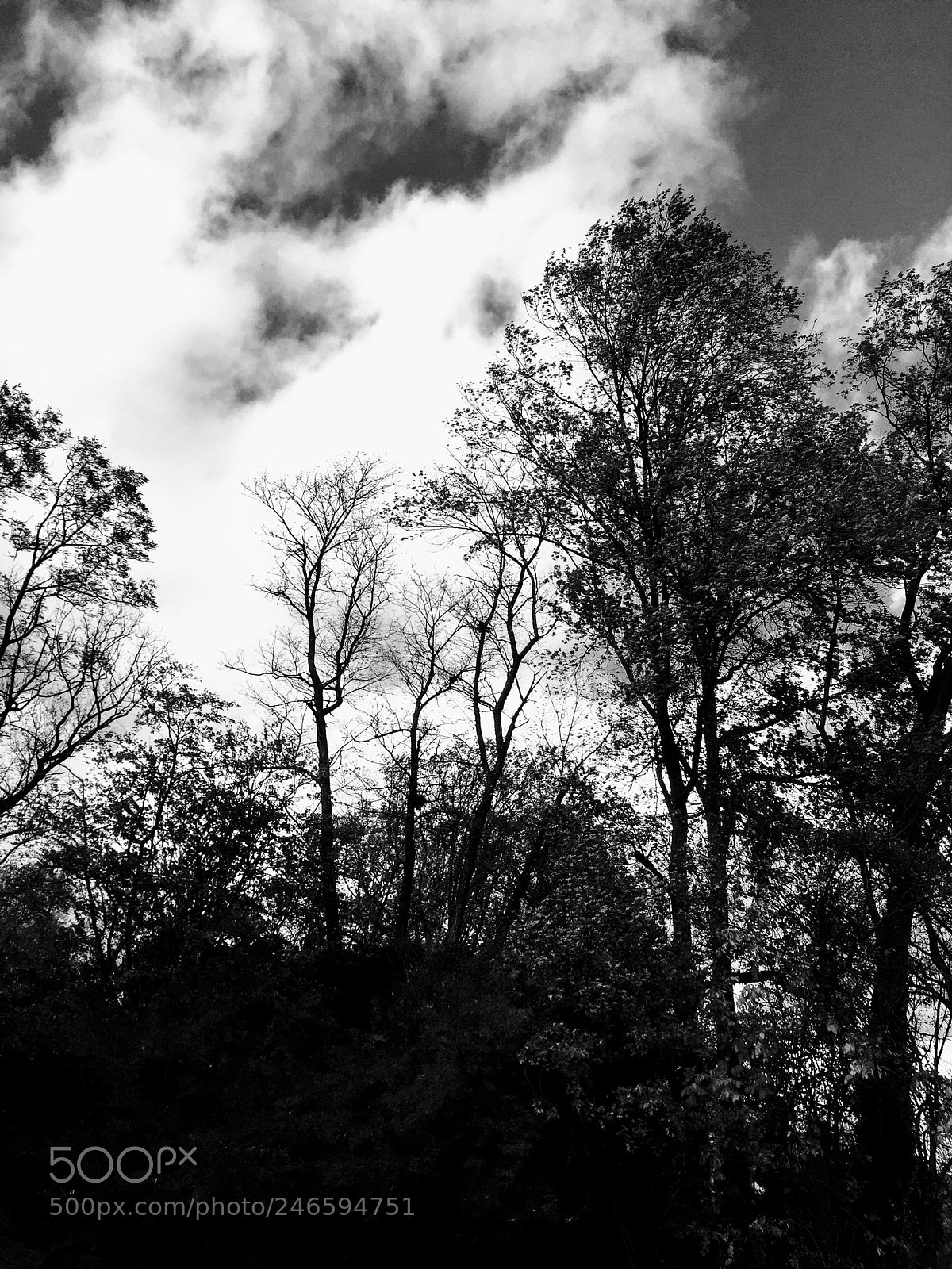 Apple iPhone 6 sample photo. Untitled photography