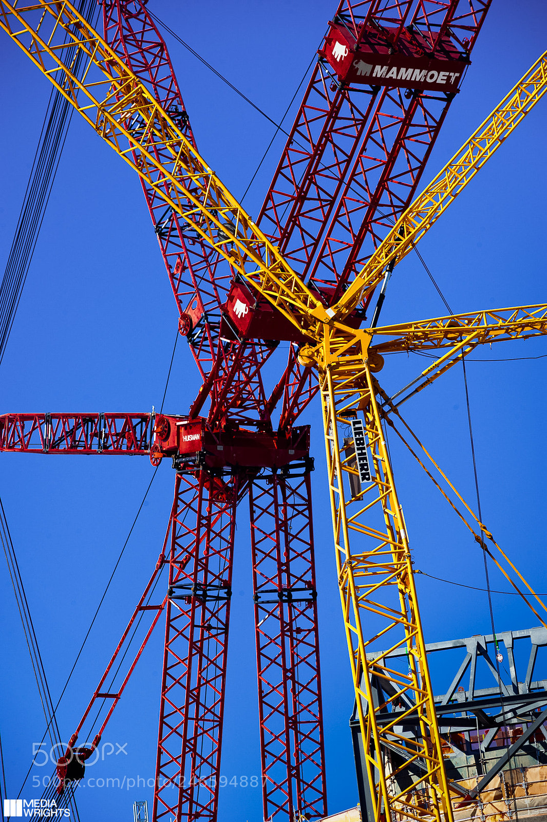 Nikon D3 sample photo. Cranes photography