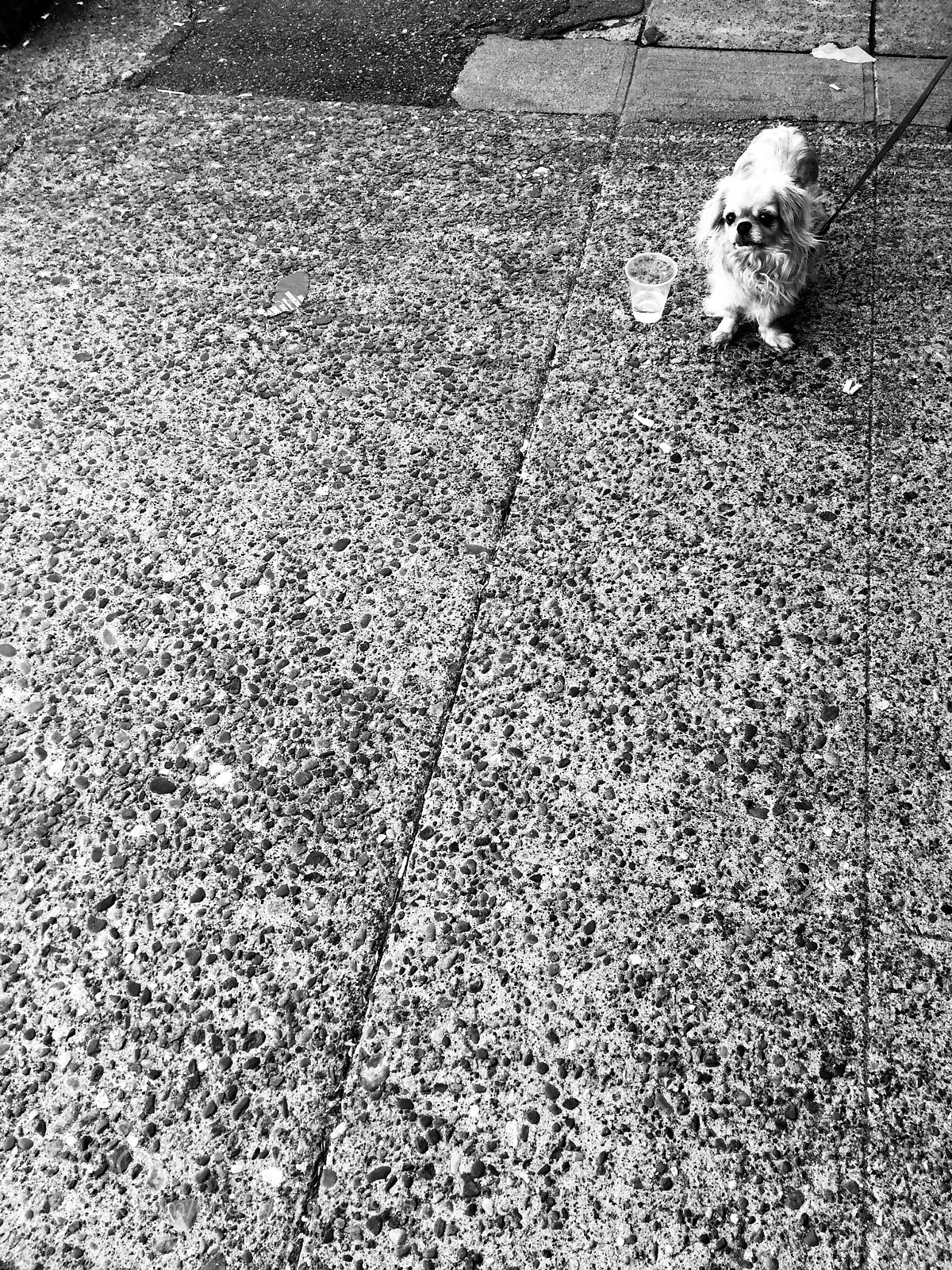 Apple iPhone 6 sample photo. Untitled photography