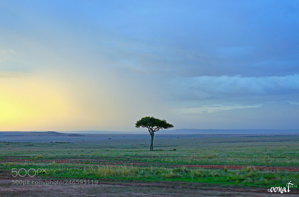 Canon EOS 500D (EOS Rebel T1i / EOS Kiss X3) sample photo. Sunrise in the maasai photography