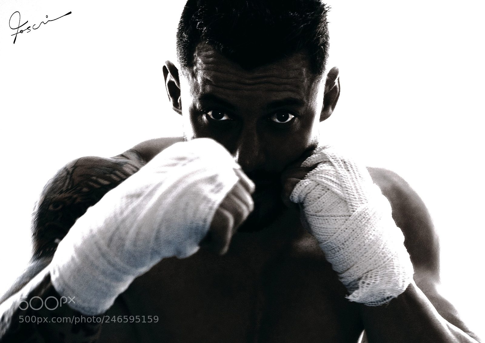 Nikon D300S sample photo. Fight photography