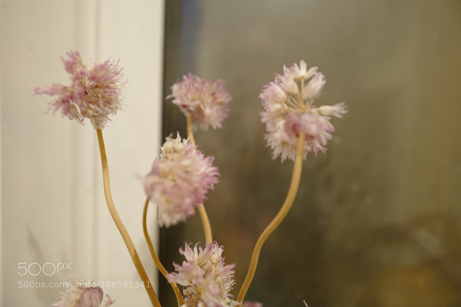 Leica Q (Typ 116) sample photo. L photography