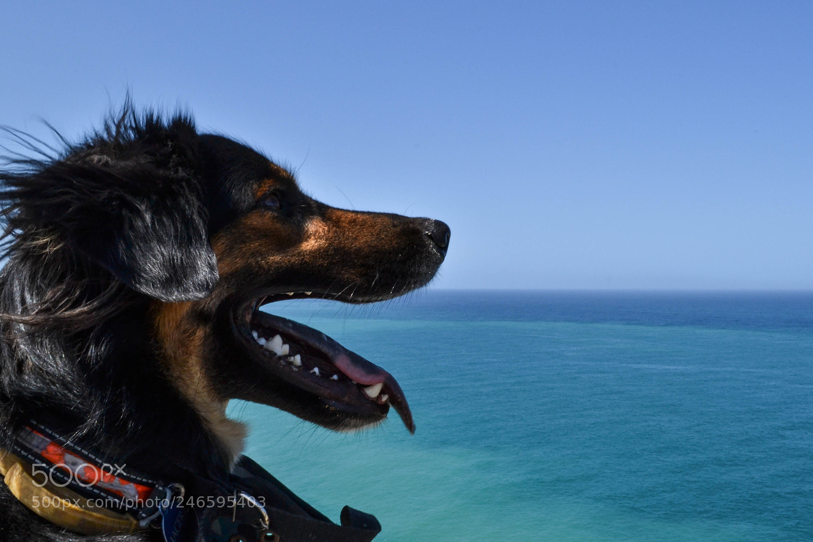 Nikon D3100 sample photo. Cabo de la vela photography