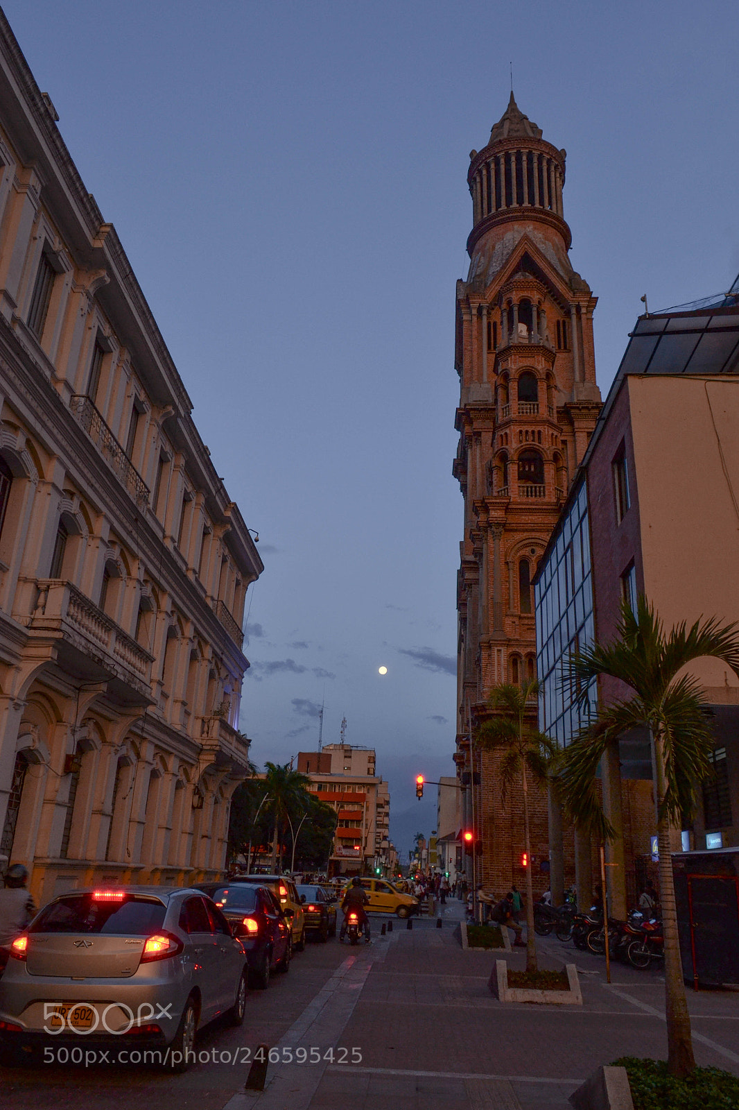 Nikon D3100 sample photo. Palmira - valle del photography