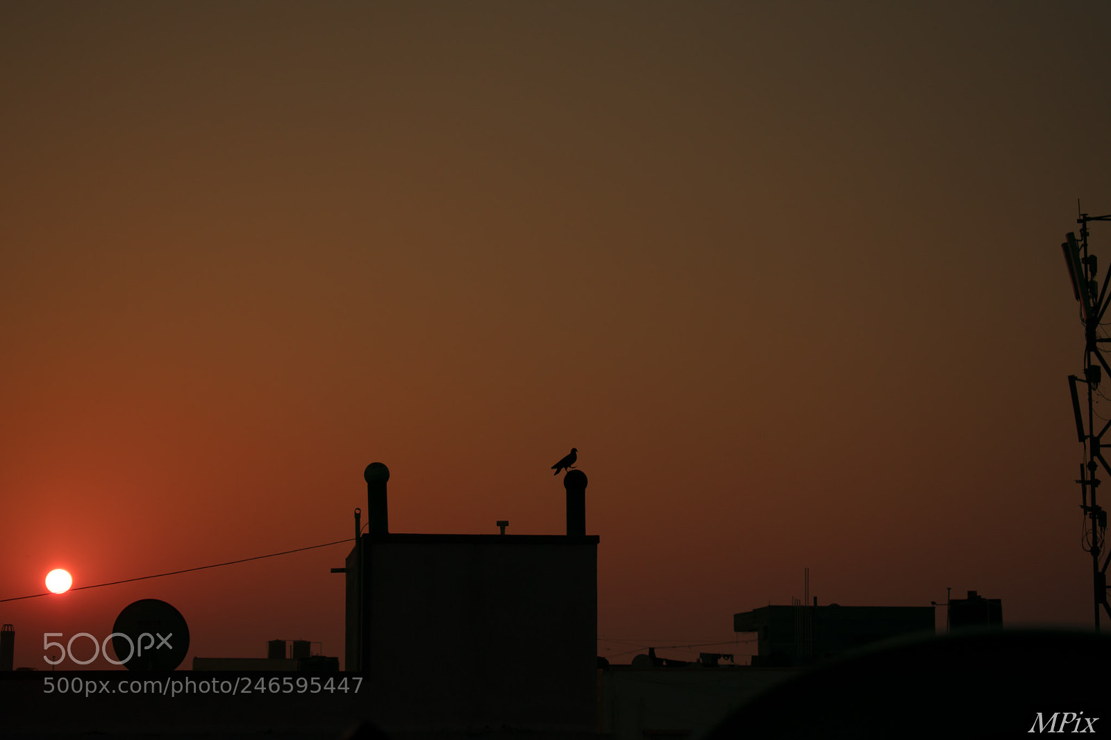 Nikon D3400 sample photo. Shades of the dawn! photography