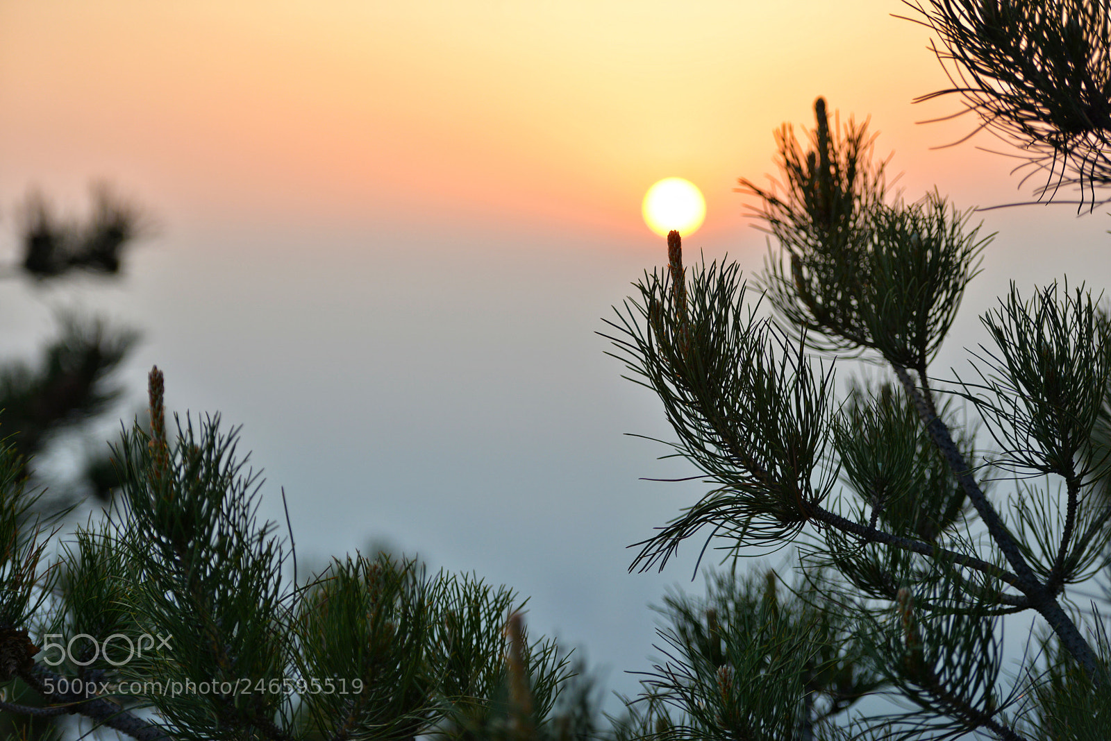 Nikon D800 sample photo. Untitled photography